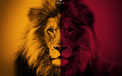 亿博电竞热评-菲尔克鲁格赛后与球迷合影